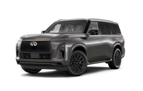 Infiniti QX80