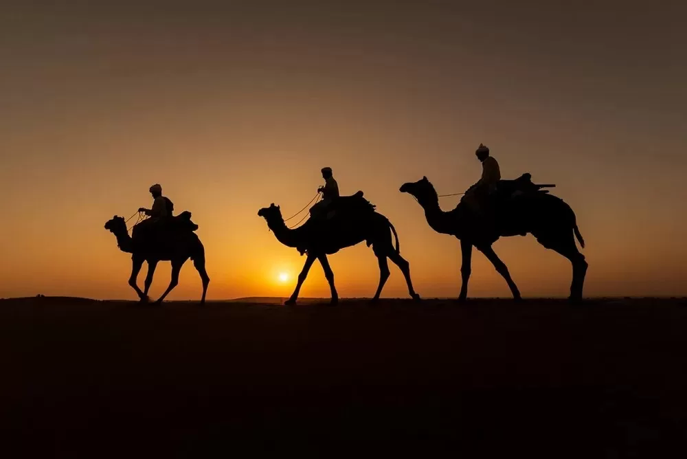 قافلة تمثل الهجرات النجدية الى الكويت