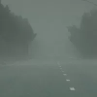 طريق في الكويت تحيط به الاشجار ويغطيه غبار خفيف يحجب ما بعد منتصفه