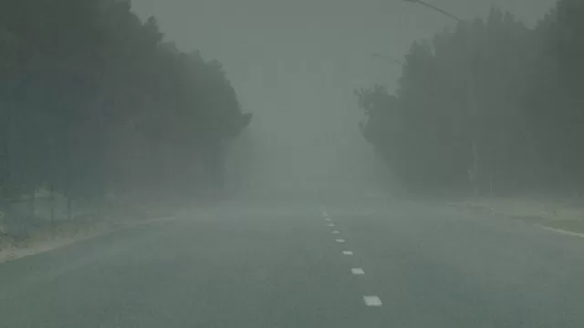 طريق في الكويت تحيط به الاشجار ويغطيه غبار خفيف يحجب ما بعد منتصفه