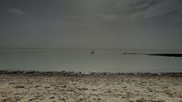 شاطئ المسيلة في الكويت وقت الجزر، رمل في المقدمة وماء ضحل ممتد الى الافق تحت شمس خافتة