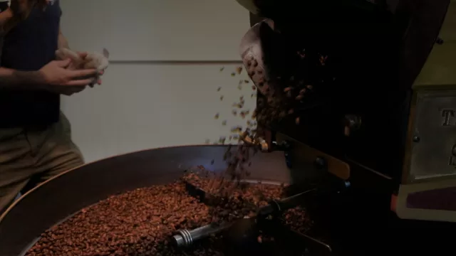 حبوب قهوة محمصة تتساقط من فوهة محمصة الى حوض التبريد الدائري، ويقف خلفها عامل