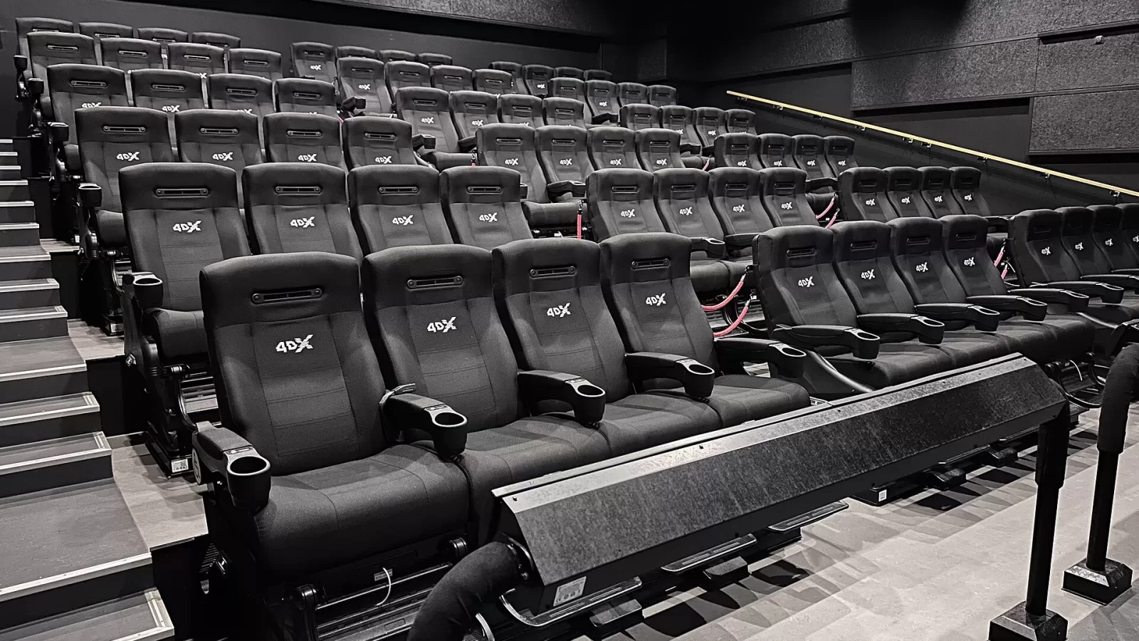 Rows of seats in a cinema auditorium