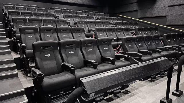 Rows of seats in a cinema auditorium