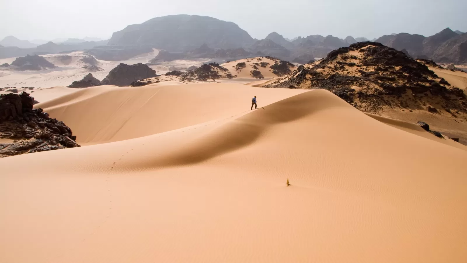 A desert dune with a bare track and no paved road