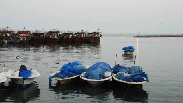Fishing boats moored at the shore
