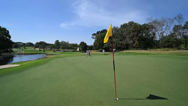 A yellow flag on a golf course green on a sunny day