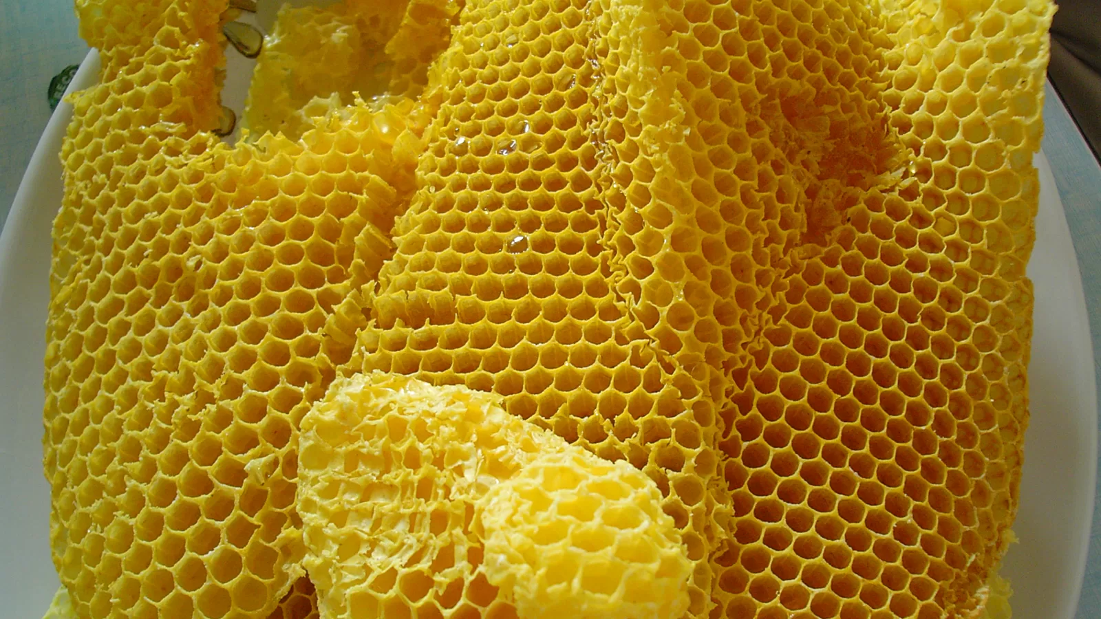 Wax honeycombs filled with honey