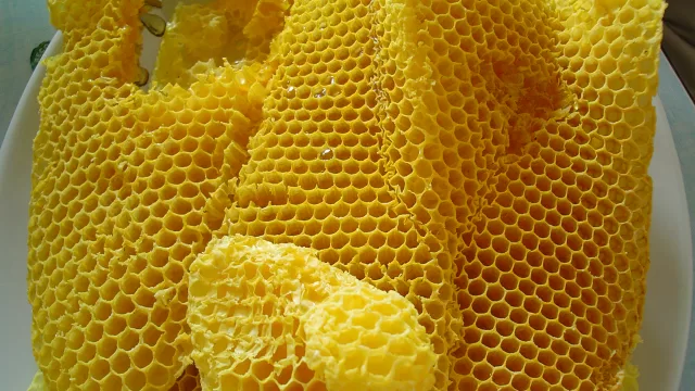 Wax honeycombs filled with honey