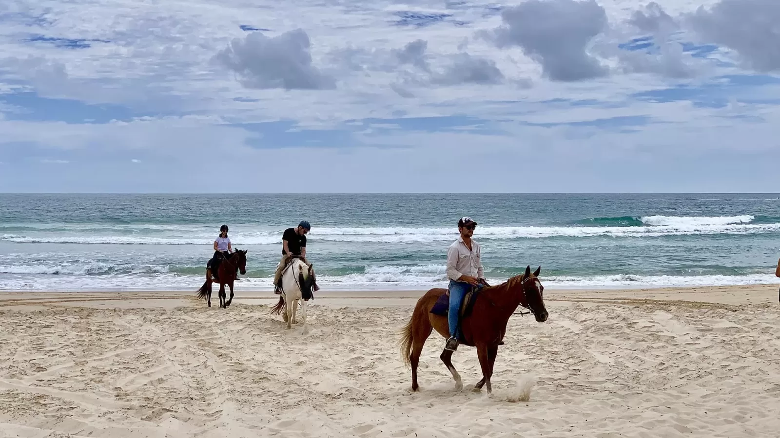 A horse and rider on a beach