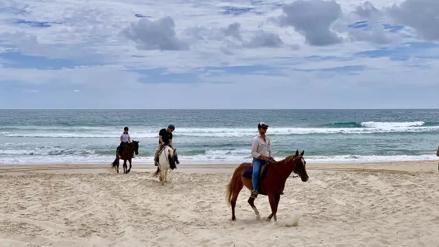 A horse and rider on a beach