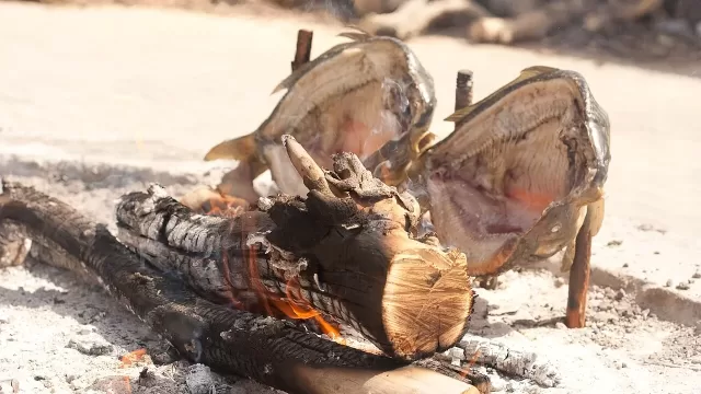 Split fish staked upright beside an open wood fire rather than over it