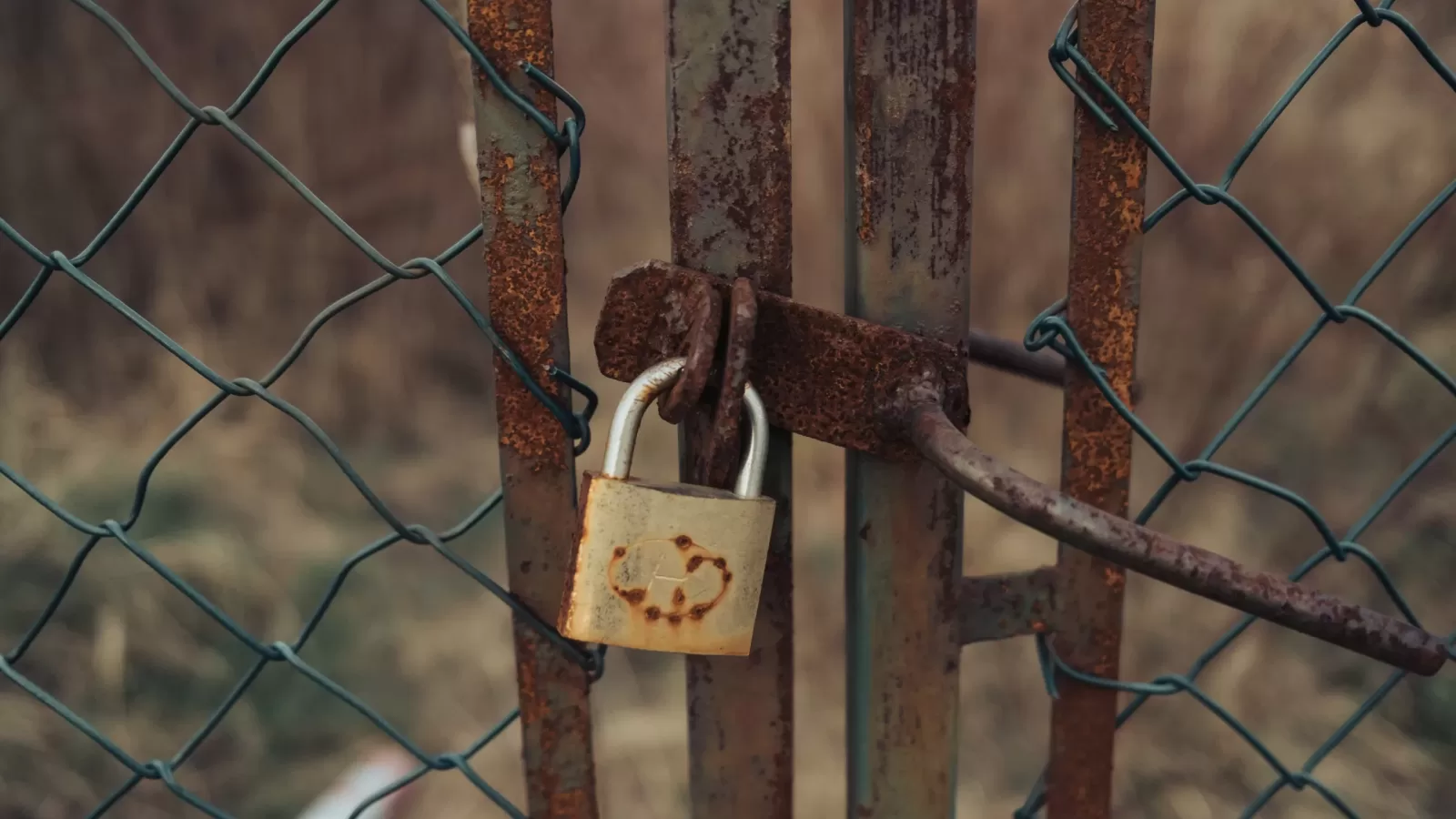 A metal padlock securing a gate