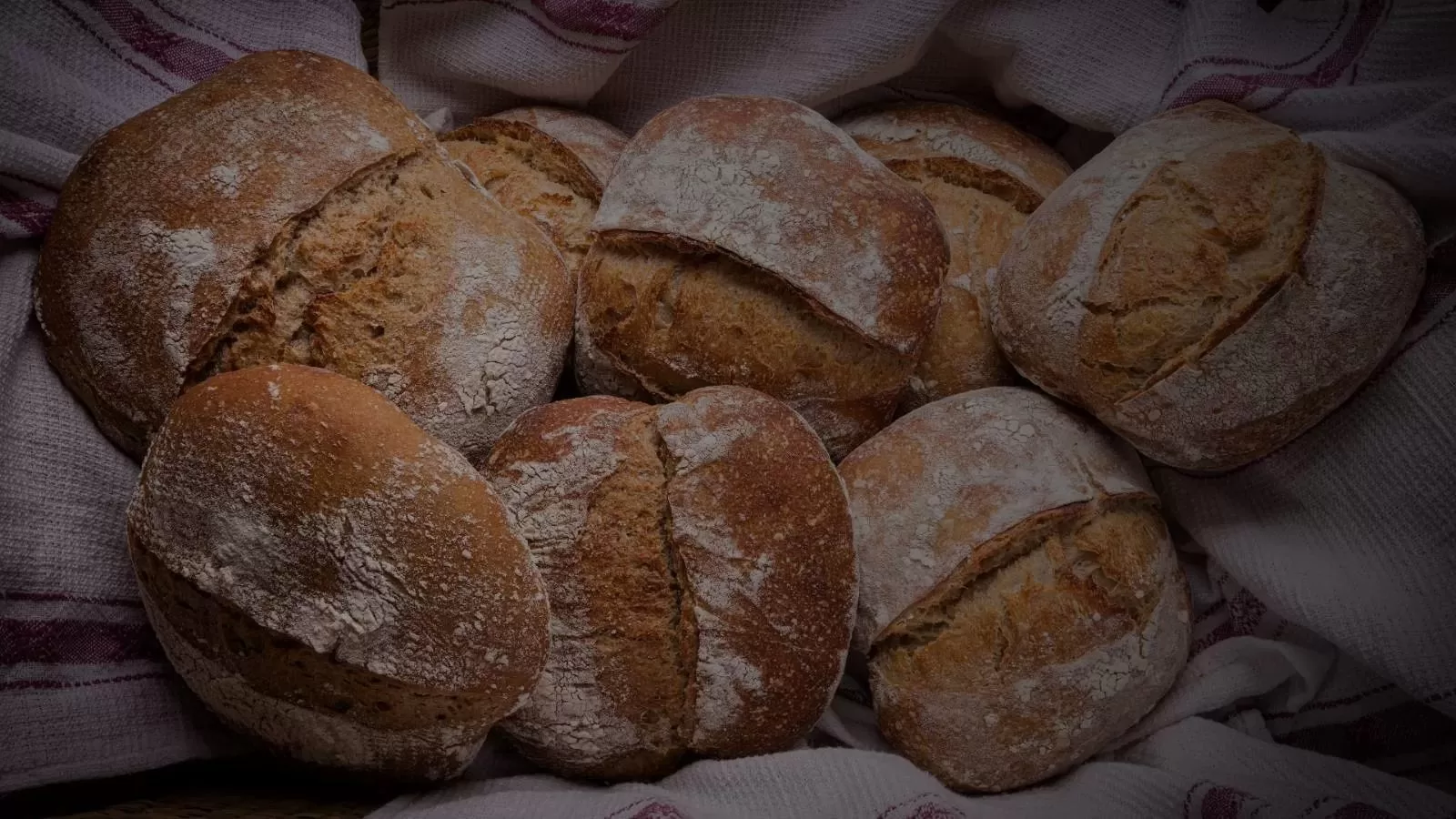Two rustic sourdough loaves with a scored crust