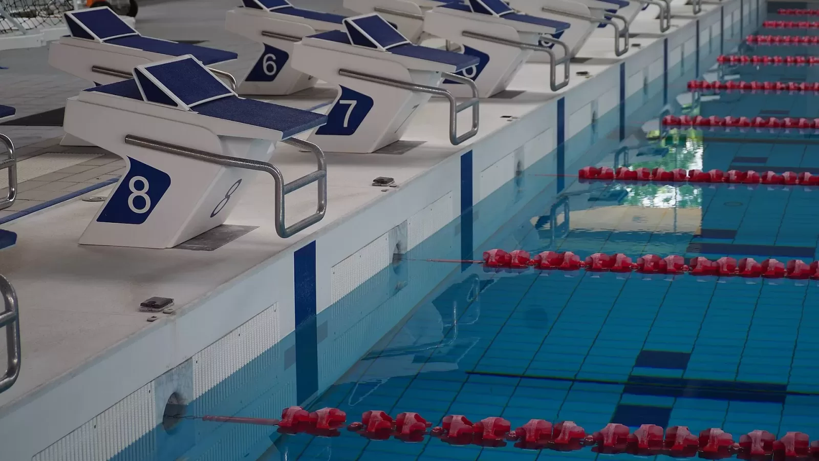 Marked lanes in a swimming pool