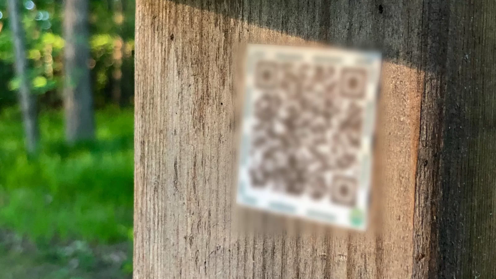 ملصق رمز QR مموه على عمود خشبي